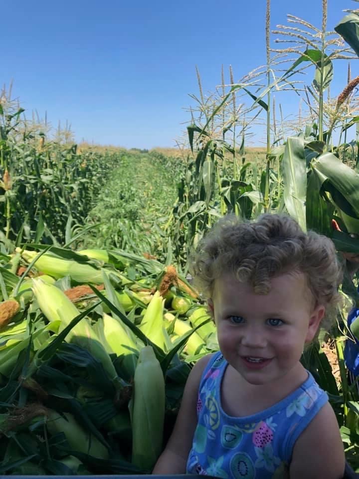 Farm to Table, by Julie Van Manen – History in the making