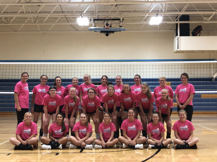 Volleyball 2020: New head coach leads senior-loaded team