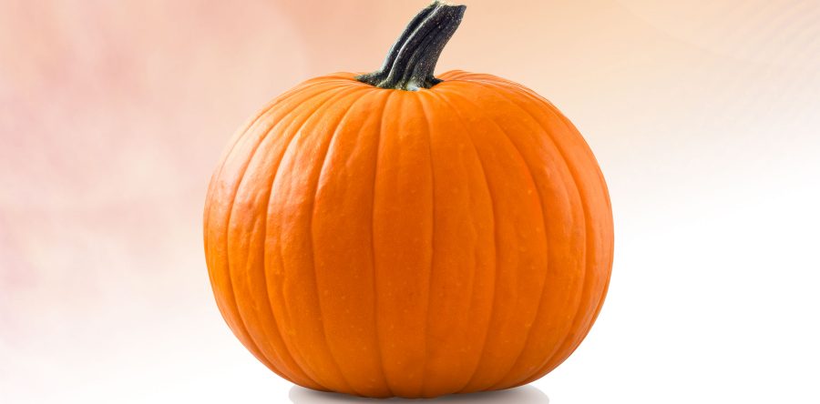 A Slice of Home by Simone Bates “The Pumpkin Question”