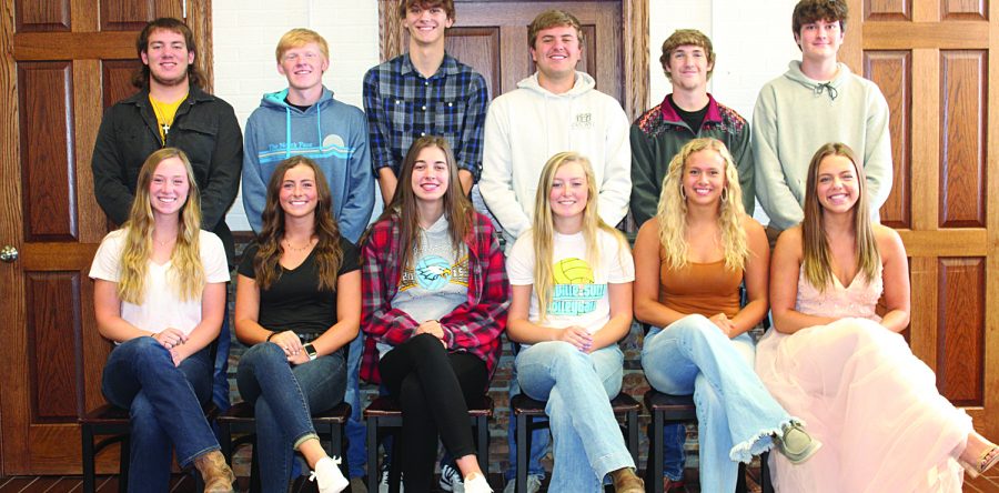 L-S homecoming court announced