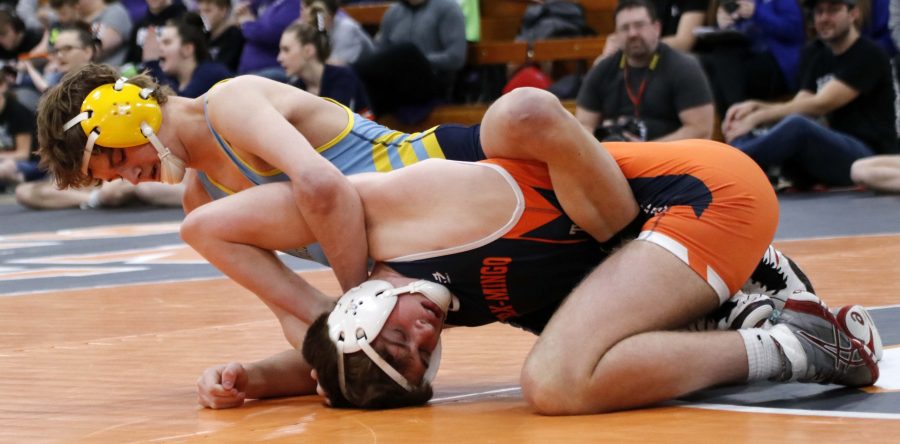 L-S returns 11 grapplers, including three past district qualifiers