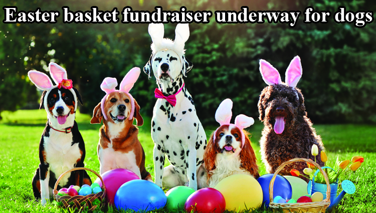 Unique Easter basket fundraiser will have dogs’ tails wagging
