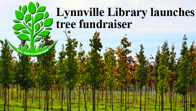 Lynnville Library launches tree fundraiser