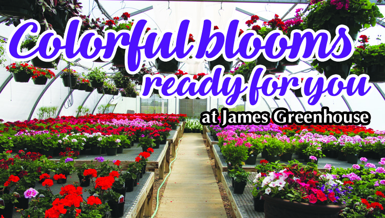 James Greenhouse welcomes new and old gardeners