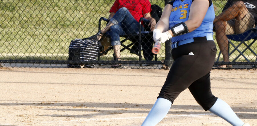 L-S rallies after weekend losses, beats BGM