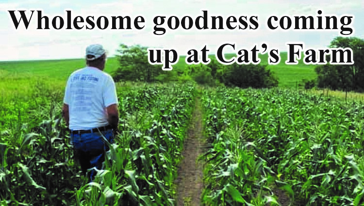 Wholesome goodness coming up from Cat’s Farm