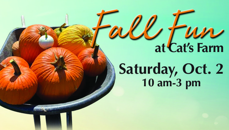 Fall fun for the whole family at Cat’s Farm Oct. 2