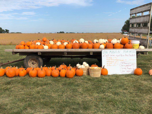 Farm to Table by Julie Van Manen