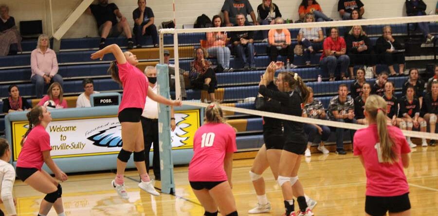 L-S volleyball honors senior teammates, youth on special recognition nights