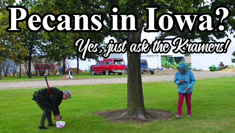 Pecans in Iowa? Yes, just ask the Kramers.