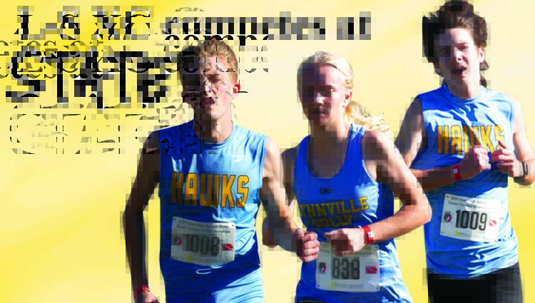 Hawks finish XC season at state