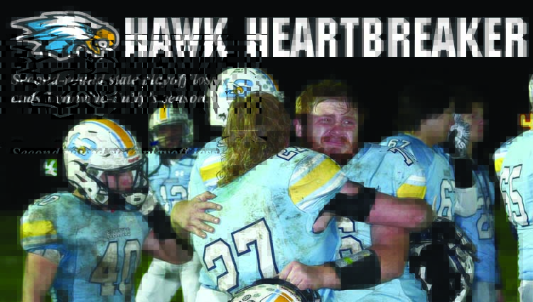 Hawk heartbreak: L-S falls in second round of playoffs