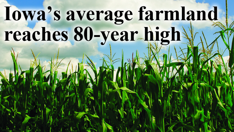 Iowa’s average farmland reaches 80-year high, values up 29%