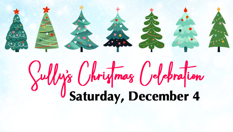 Community Christmas celebrations