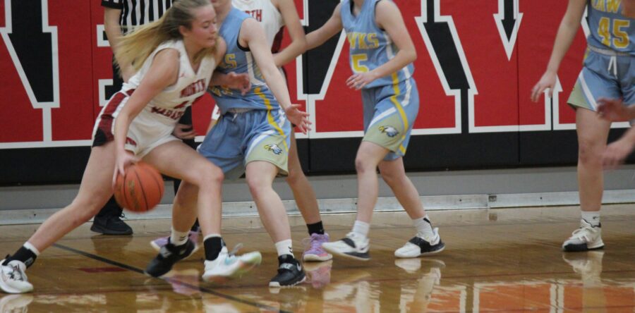 Halftime adjustments help L-S down HLV, Hawks fall to NM
