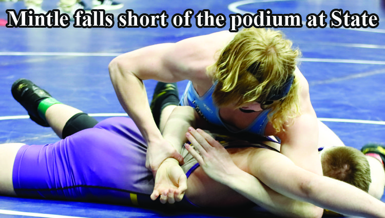 Maxwell Mintle finishes sophomore season at state