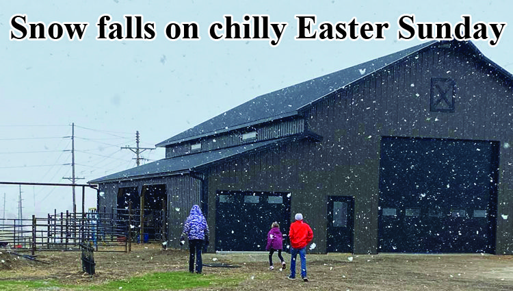 Dreams of a white Easter granted