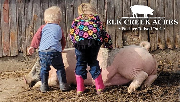 Elk Creek Acres ready to provide customers with local pasture-raised pork and more