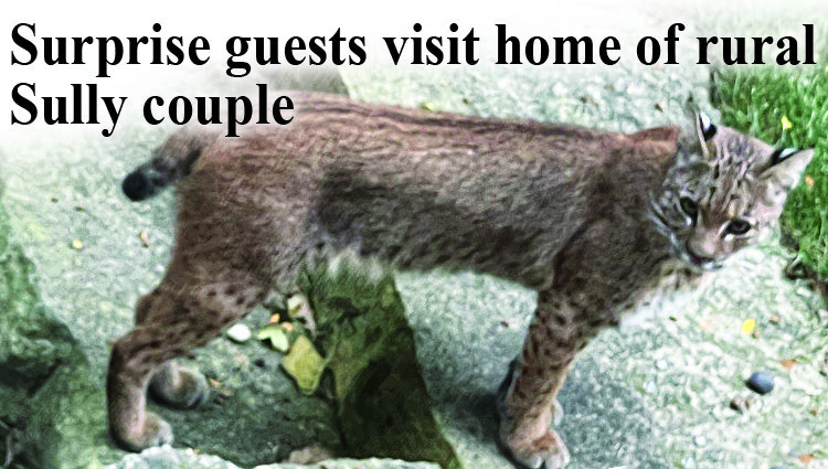 Surprise guests visit home of rural Sully couple