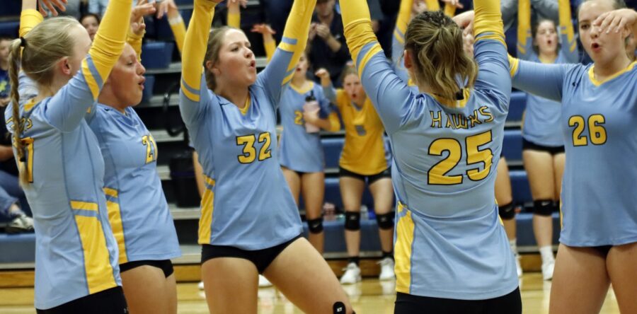 L-S volleyball drops three SICL games, looks ahead to Newton tourney