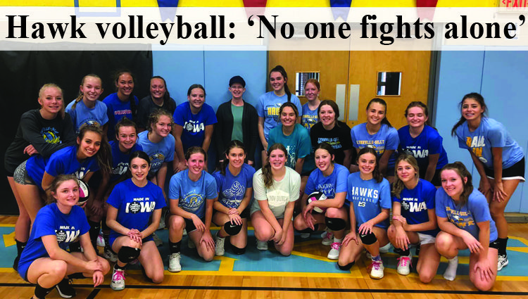 Lynnville-Sully volleyball: ‘No one fights alone’