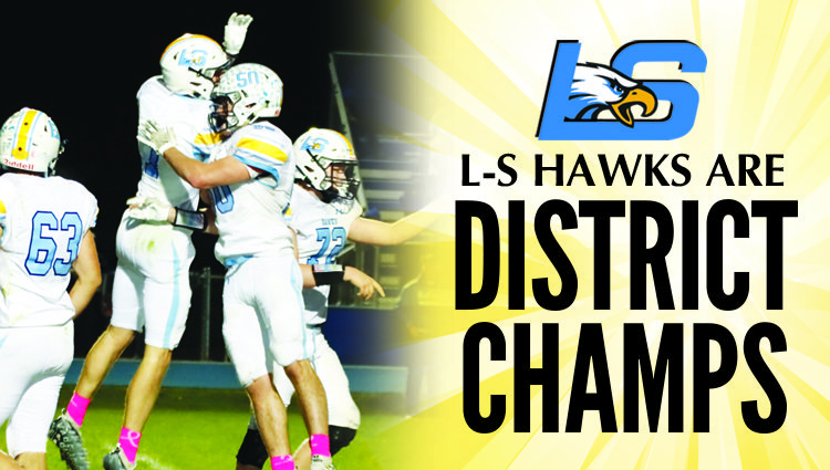 Hawks soar over Ogden to claim district title