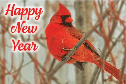 Happy New Year