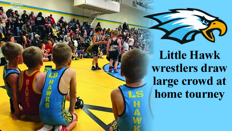 Little Hawk Wrestling draws a crowd for home youth tourney