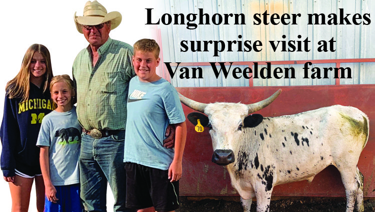 Longhorn steer makes surprise visit at Van Weelden farm