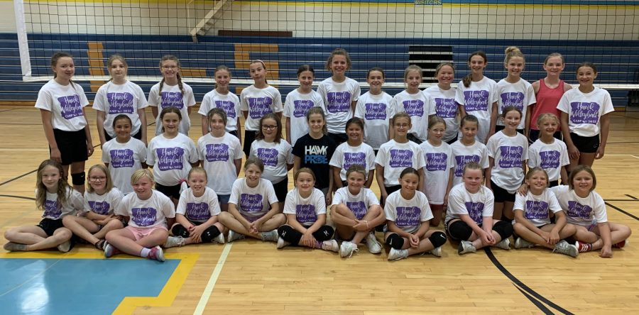 L-S summer basketball, volleyball camps for area youth wrap up in June