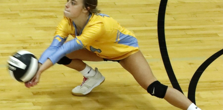 Hawk volleyball goes 3-2 in opening week