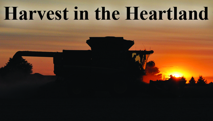 Harvest in the heartland