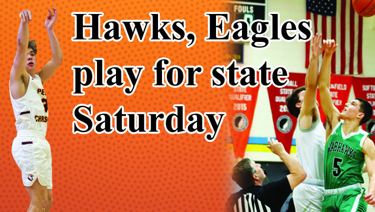 Hawks, Eagles flying high in the postseason