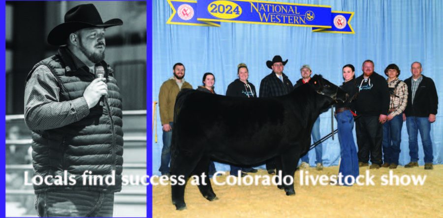 Locals find success at January Colorado livestock show