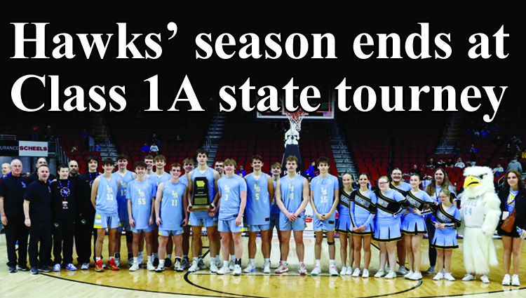 Hawks’ basketball season ends at state
