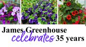 James Greenhouse celebrates 35 years