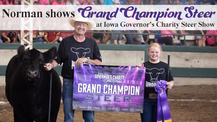 Norman shows Grand Champion Steer at Iowa Governor’s Charity Steer Show