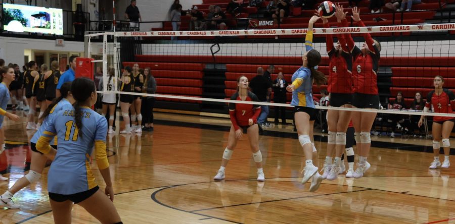 Ranked teams play tough at the net against L-S