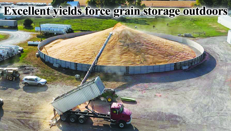 Excellent yields mean grain storage in outdoor bunker