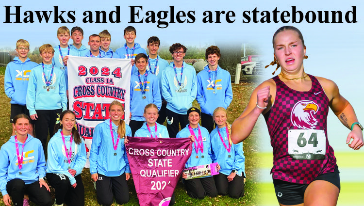 Hawks and Eagles are State bound
