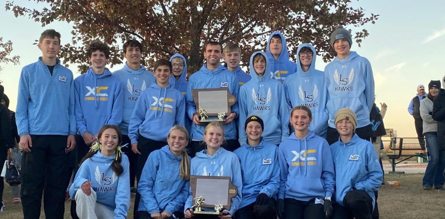 L-S XC, volleyball players earn SICL All-Conference honors