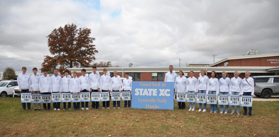 Hawk XC at State: Girls team claims sixth place, boys 14th