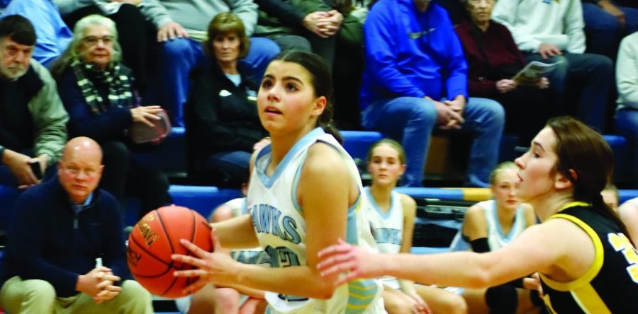 Hawks hold off Sigourney, rally against Pleasantville
