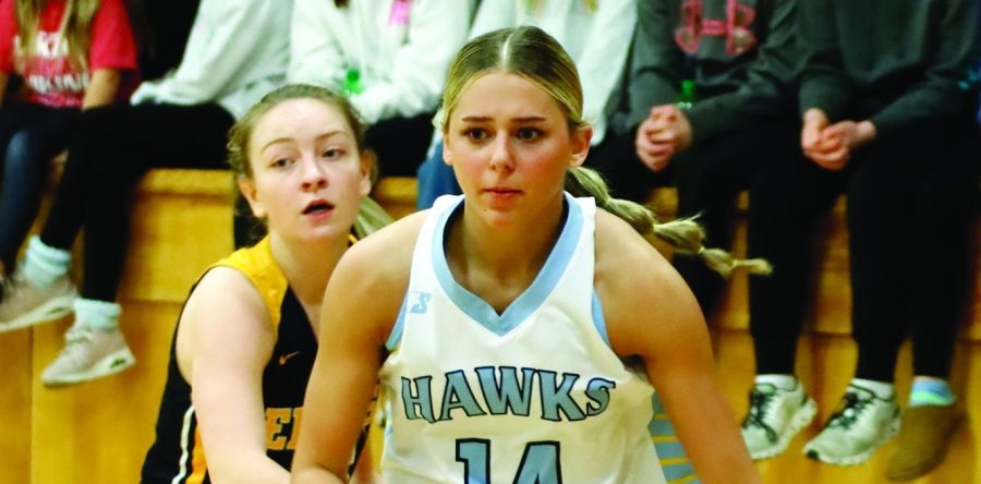 Tenth-ranked Hawks cage the Tigers, Bears