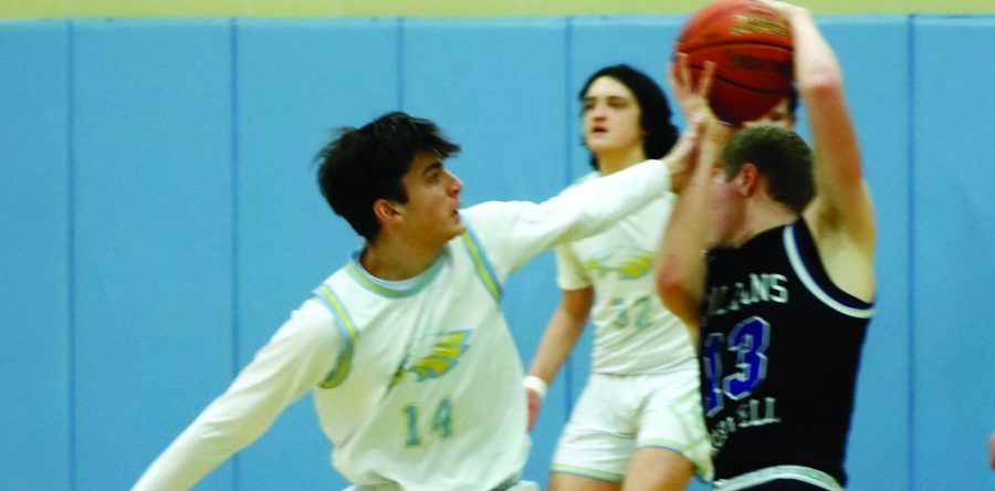Hawks win thriller to advance to District Finals