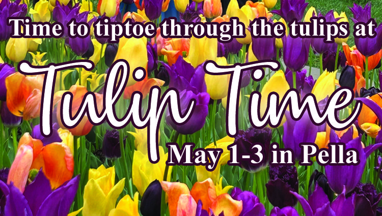 Time to tiptoe through the Tulips