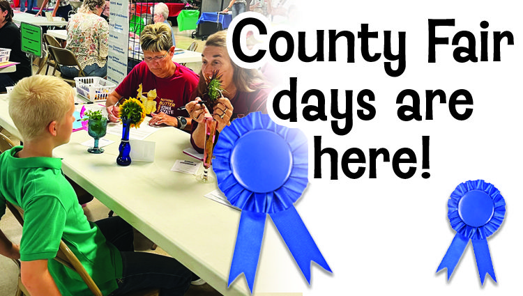 Fair days are here!