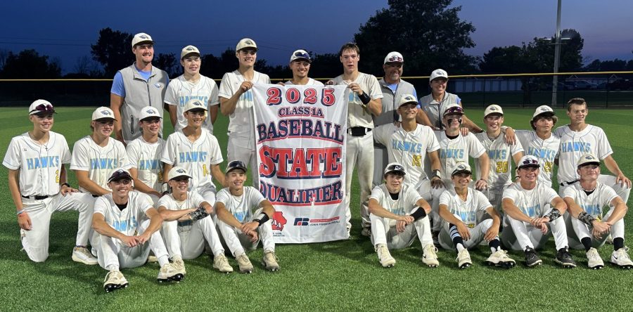 All-District honors roll in for L-S Hawks