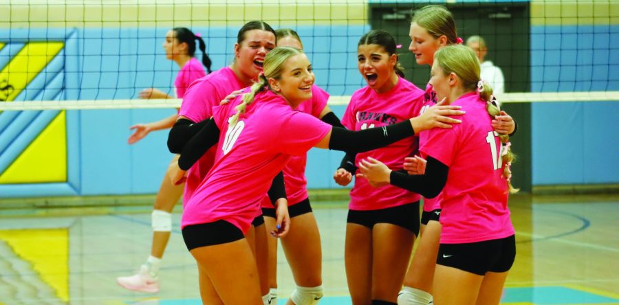 Pink Out energy pushes Hawks to five-game set