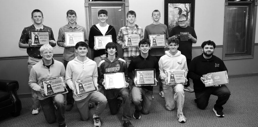 Hawks earn coach- and team-voted awards